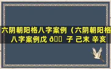 六阴朝阳格八字案例（六阴朝阳格八字案例戊 🐠 子 己末 辛亥 戊子）